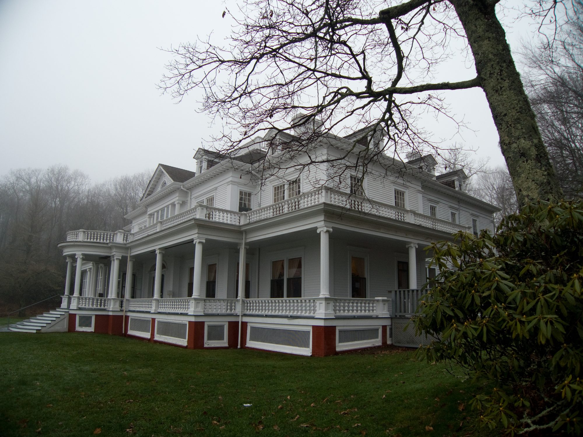 A white house with porches, a great tree in fog