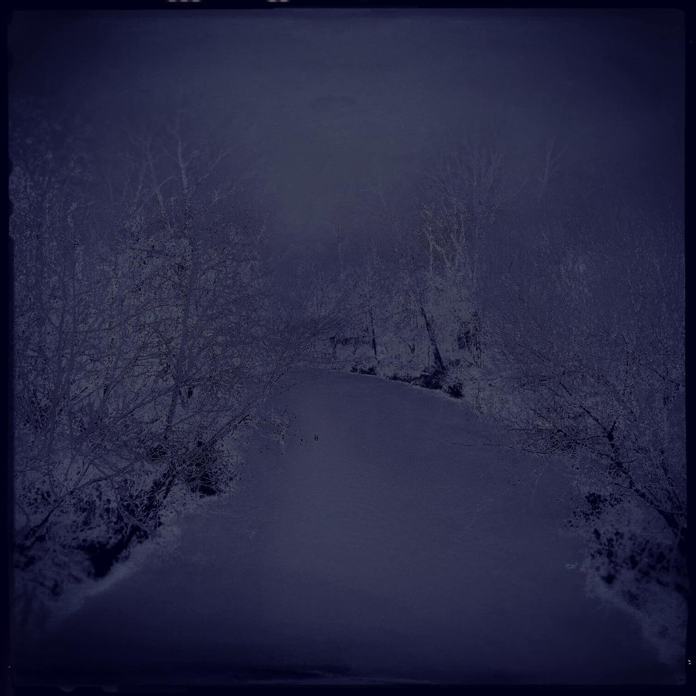 A snowy creek in violet dusk