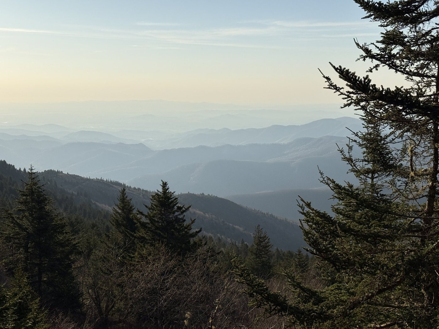 Ridges fading into haze beyond a fir