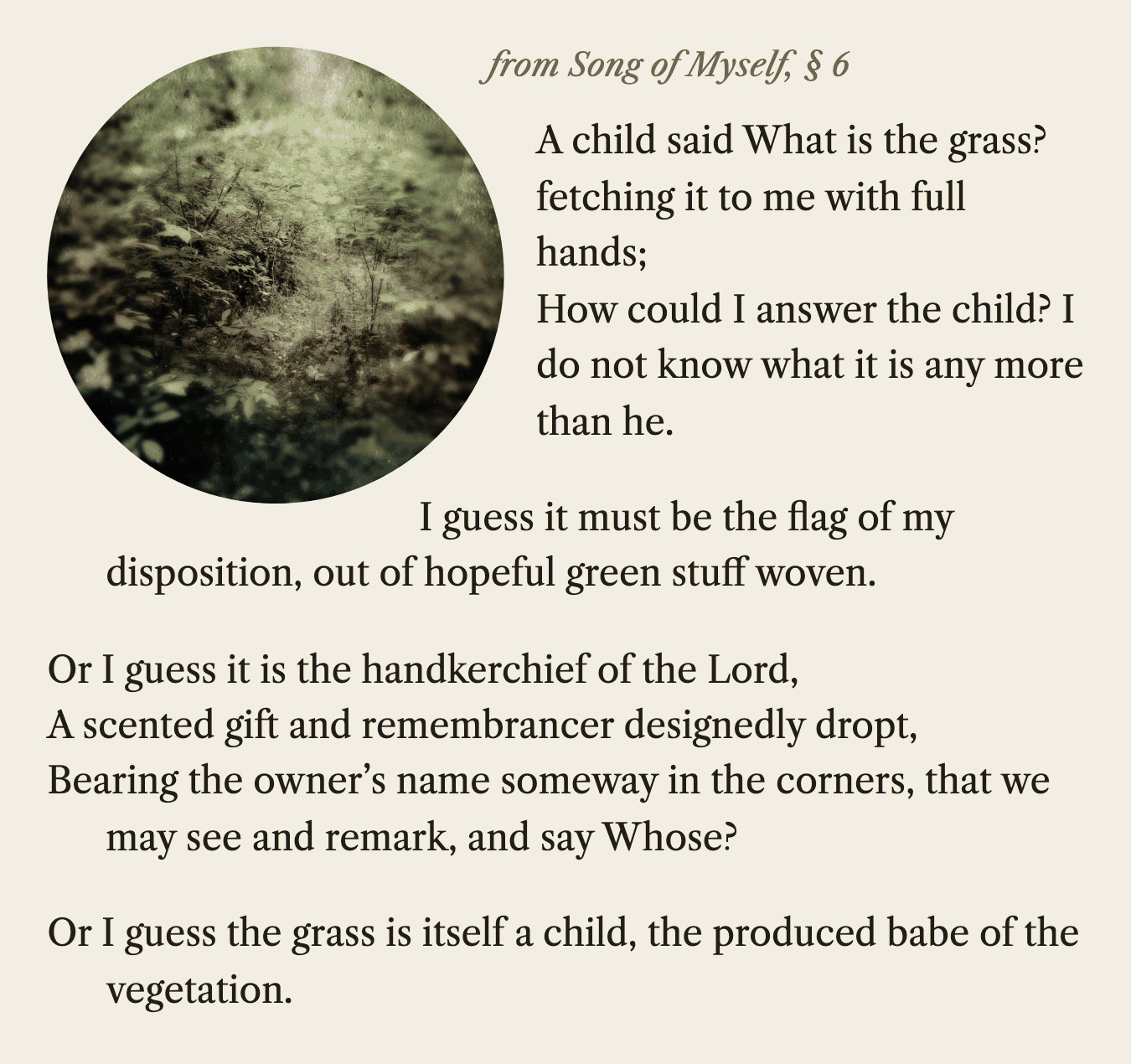 Song of Myself, section 6, as stanza set it before